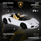 Coche RC Eléctrico Lamborghini Aventador Roadster 1:24 Full Function