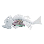 Amazing Creatures Piranha Synthetic Dissection Kit - STEM