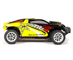 CIS Savage 2.4GHz 1:24 4WD Off-Road RTR Electric RC Desert B