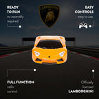Bugatti Chiron & Lamborghini Aventador RC Cars