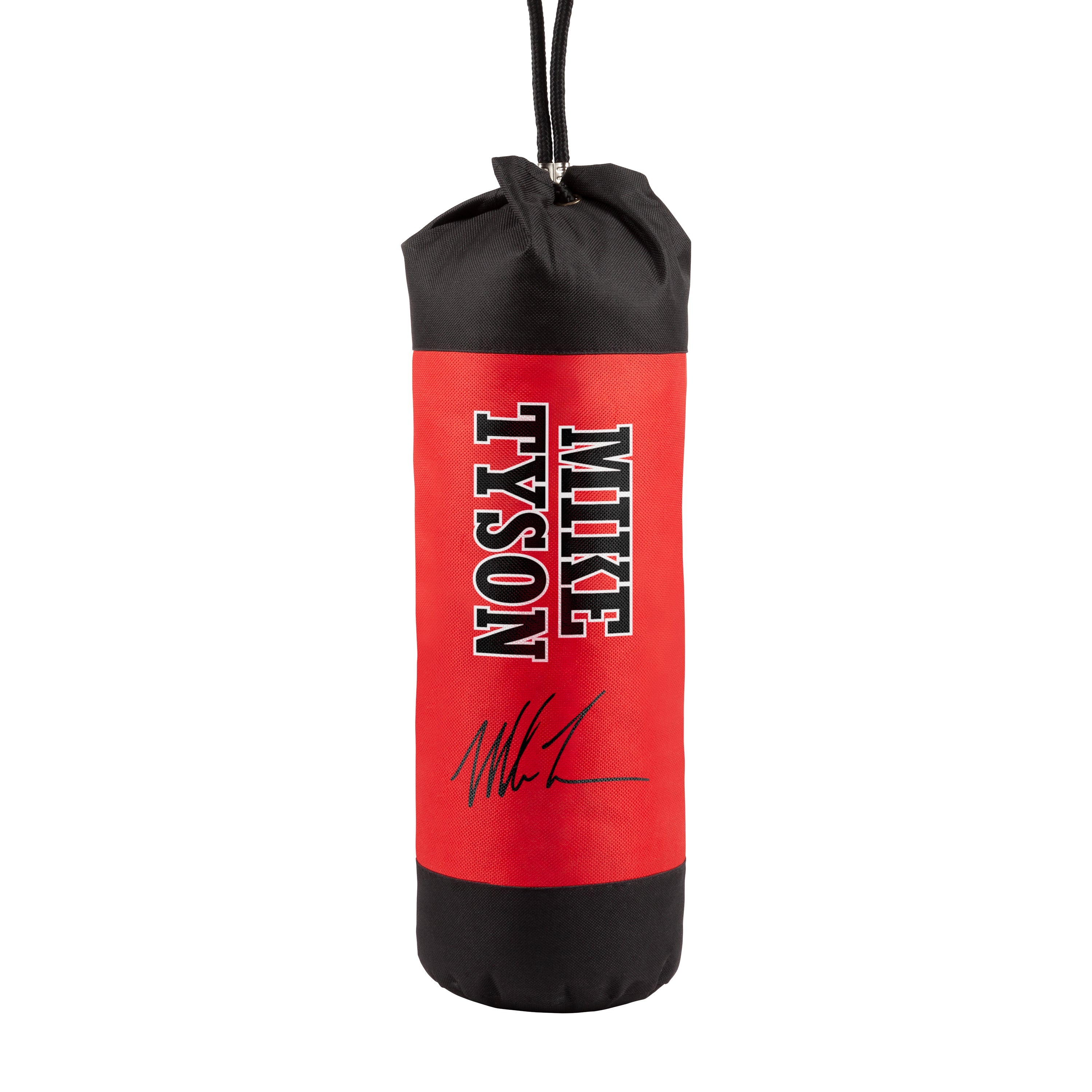 Juego de Boxeo para Niños Campeón Mike Tyson