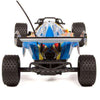 World Tech Toys Desert King 2WD 1:10 RTR Electric RC Buggy